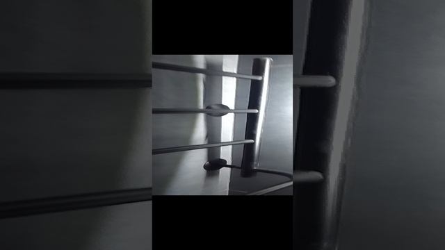 VID_20240927_215445.mp4