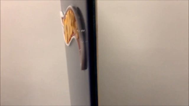 Custom Honda & Acura Hot Wheels Display Board смотреть онлайн