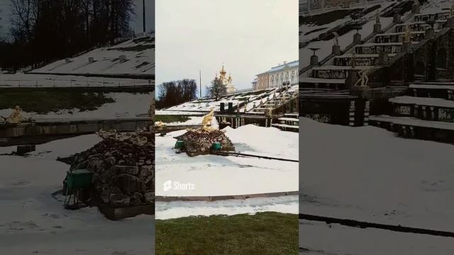 Петергоф. #shorts, #мояроссия, #shaman