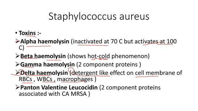 Staphylococcus aureus, Staphylococcus epidermidis , Staphylococcus saprophyticus смотреть онлайн