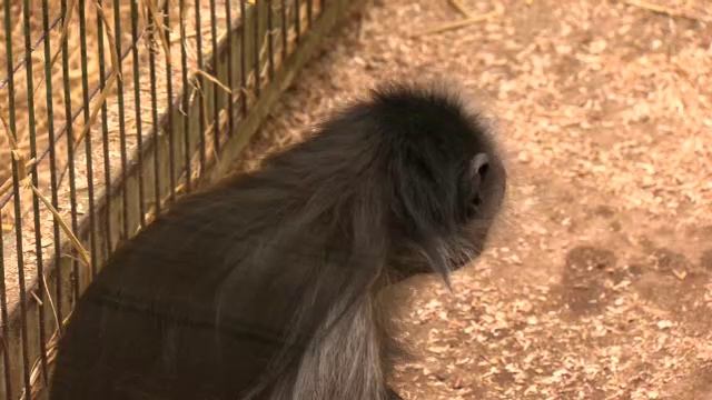 OD2e_L1_BQ3_TP смотреть онлайн