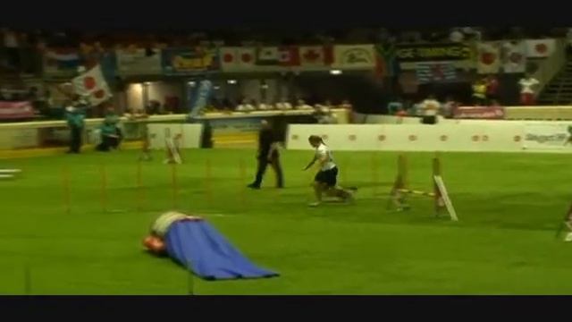 Agility VM 2009, hopp lag mellom, diverse ekvipasjer смотреть онлайн