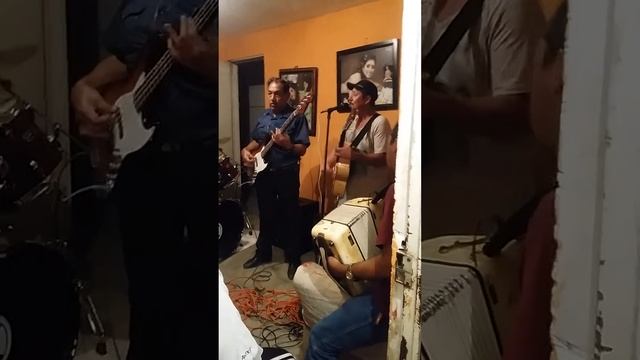 El gavilan pollero ennensayo смотреть онлайн