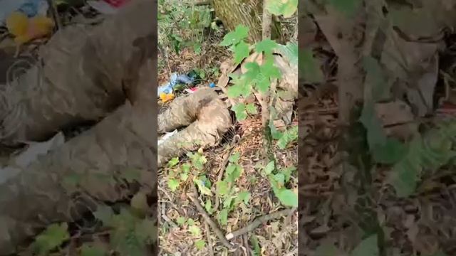 ⚡️СВО 18+ Работа десантников 51 полка ВДВ в Курской области по утилизации ВСУ. смотреть онлайн