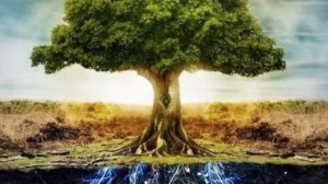 Расстановка 💙 Второй день. 💙 Предназначение