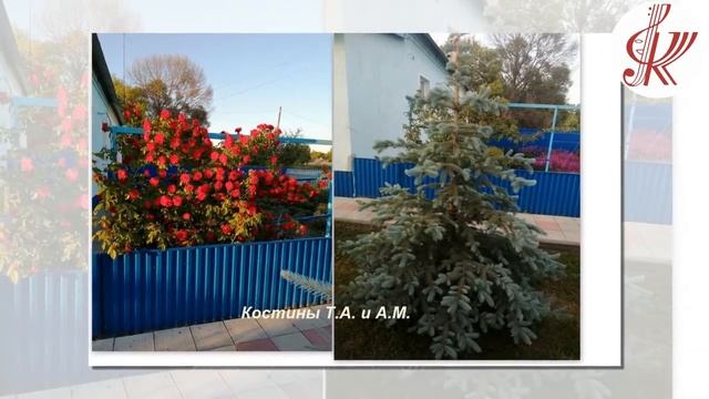 Видео – презентация «Благоустройство-2022 год. Пиковское сельское поселение» смотреть онлайн