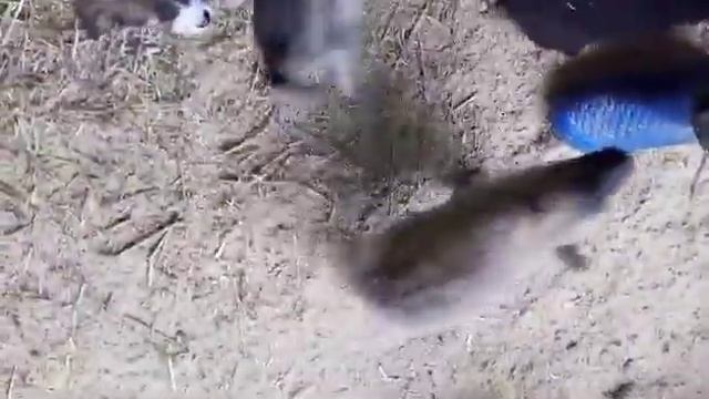малыши из приюта горад тулун смотреть онлайн