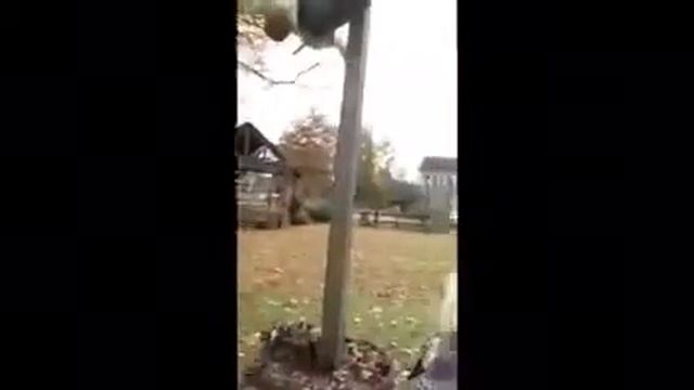 Paige October Nicole смотреть онлайн