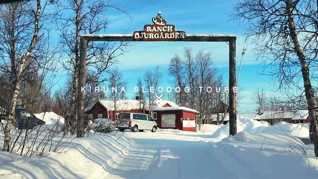 WHY WE LOVE SWEDISH LAPLAND: Northern Lights, Glass Igloo Stay, Ice Hotel & More! 4K смотреть онлайн