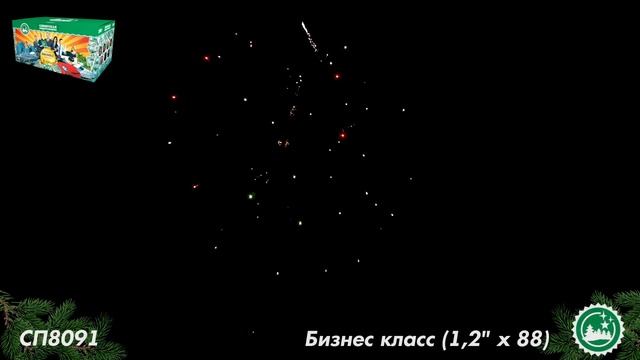 СП8091 смотреть онлайн