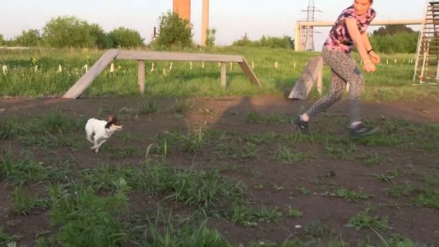 Аджи умнички смотреть онлайн