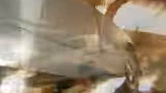 bentley s1 renovée, chromes à remonter macanique ok 11900 euros visible 56340 смотреть онлайн