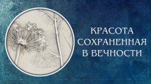🍯 СЕКРЕТЫ: Ботанический Барельеф НА САМОМ ДЕЛЕ? / Вторая жизнь цветов