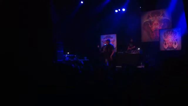 Hail Mary Mallon, Dollywood @ Union Transfer 2/27/2015 смотреть онлайн