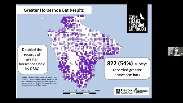 Brilliant Bats - Celebrating the Devon Greater Horseshoe Bat Project смотреть онлайн