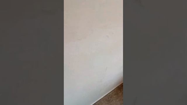 дом ветеранов город полысаево хаус смотреть онлайн