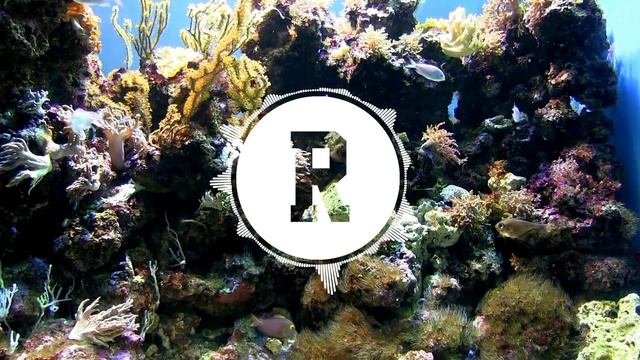 Fantastic - K-391 (RaloS Remix) смотреть онлайн
