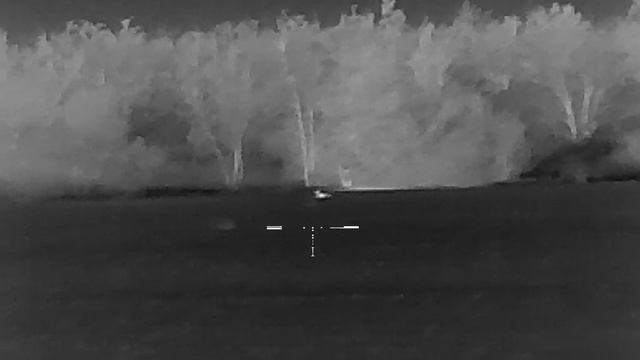 VID_001317 смотреть онлайн