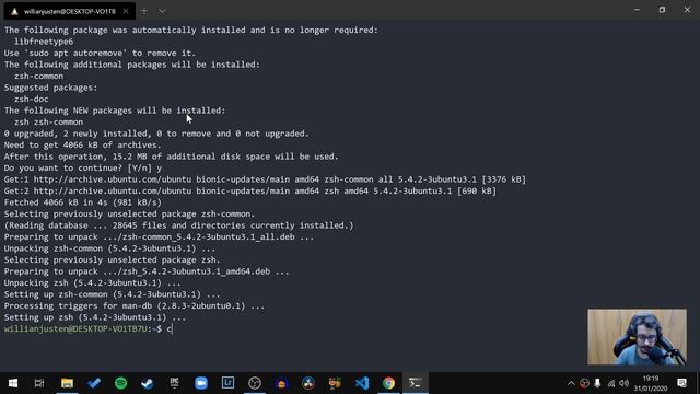 13. Instalando o Zsh e Oh My Zsh - Criando um Ambiente de Desenvolvimento no Windows смотреть онлайн