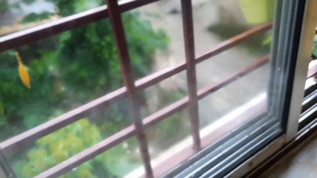 Easiest Way To Clean Sliding Door And Windows//Indian House Cleaning Routine/Vandana Pareek Vlogs смотреть онлайн