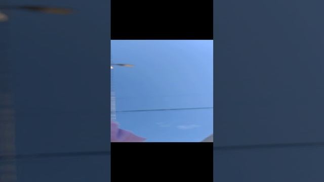 Котенка назвали Горелый , но возможности нет взять , так как Аллергия у брата