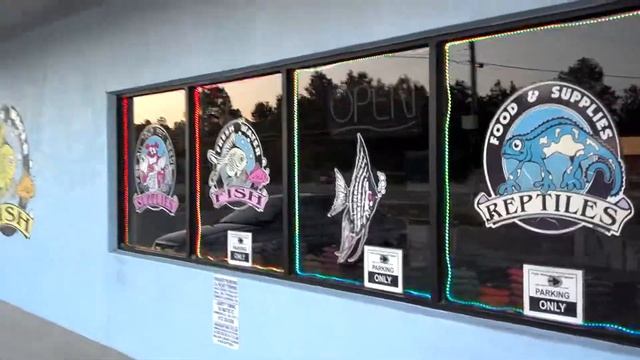 Fish World and Pet Shop - Windows LED Lights смотреть онлайн