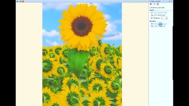 Microsoft Office Picture Manager смотреть онлайн