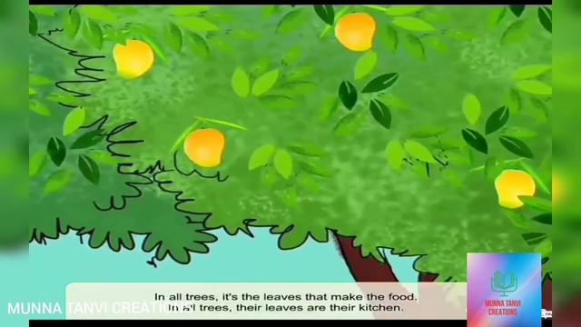 OUR USEFUL PLANTS. ENGLISH 3 RD CLASS L-1. |MUNNA TANVI CREATIONS смотреть онлайн