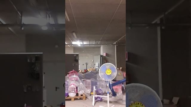 Atti di vandalismo..addio estate смотреть онлайн