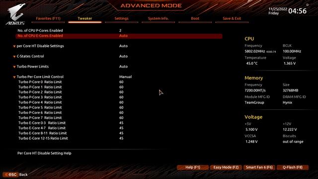 기가바이트 Z790 Aorus Elite 오버클럭