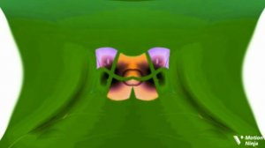 Windows 7 Startup Logon NOW MY VIDEO Effects In Blind And Deaf