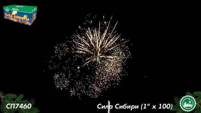 СП7460 смотреть онлайн