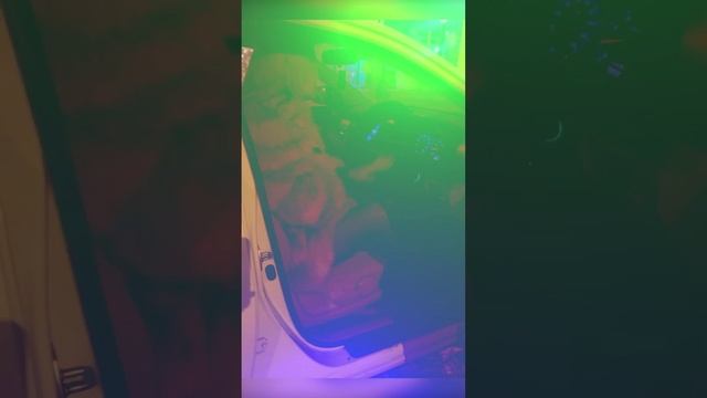 Olvina - Том Ям (Премьера 2022)