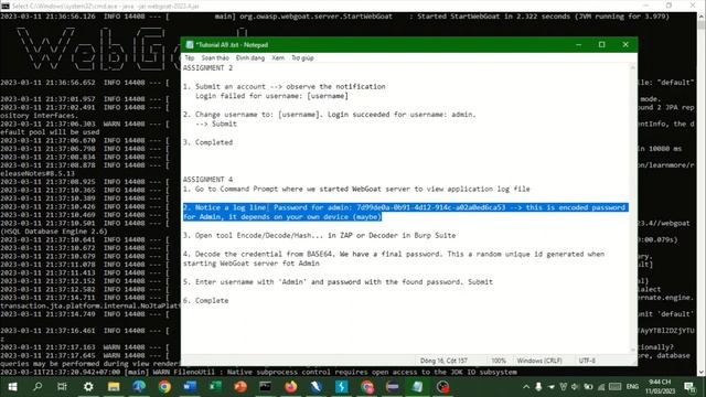 WebGoat 2023 - A9 - Logging Security - Assignment 2 & 4 смотреть онлайн