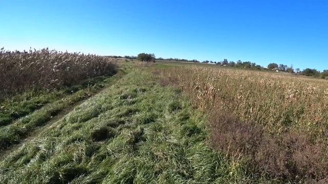 Комета показывает как нужно подавать дичь! смотреть онлайн