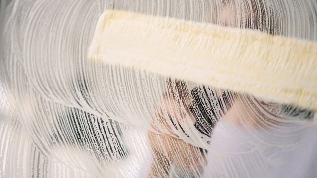 Karcher WV 2 Plus Window Vac смотреть онлайн