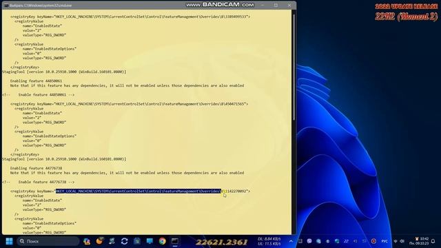 ViveTool & StagingTool смотреть онлайн