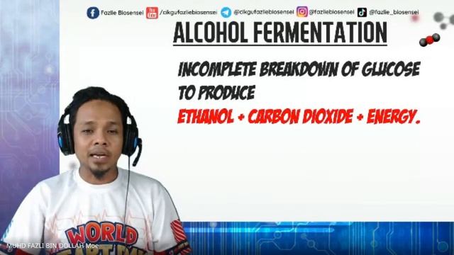 BIOLOGY KSSM F4 - ALCOHOL FERMENTATION смотреть онлайн