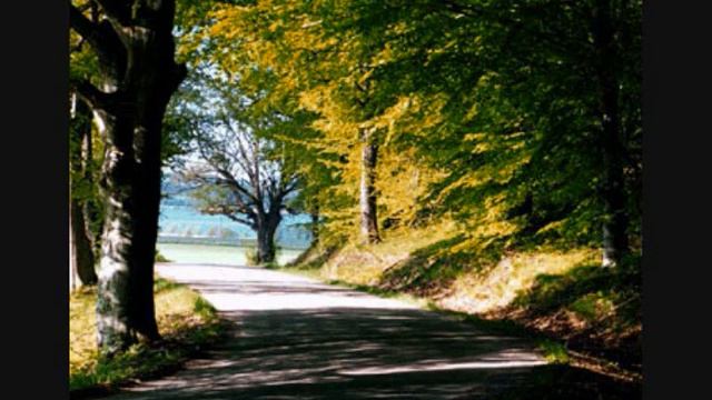 Blå märken смотреть онлайн