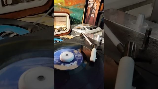 PAT BOONE - SE TU NON FOSSI QUI (Terzi-C. A. Rossi) смотреть онлайн