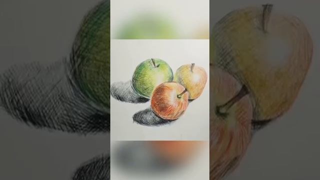 1з класс. Зарисовки фруктов и овощей. Преподаватель Павлова И. Е. смотреть онлайн
