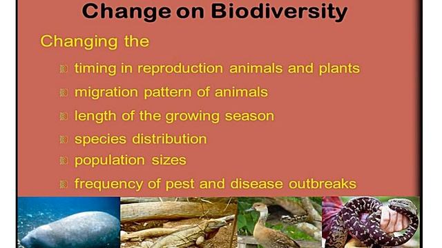 Consequences of Global warming and Climate change 25 08 2019 PPT Windows Media Video смотреть онлайн