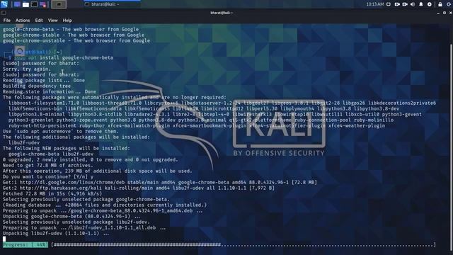 How to Install Google Chrome in Kali Linux 2021 | Full Installation guide Step by Step смотреть онлайн