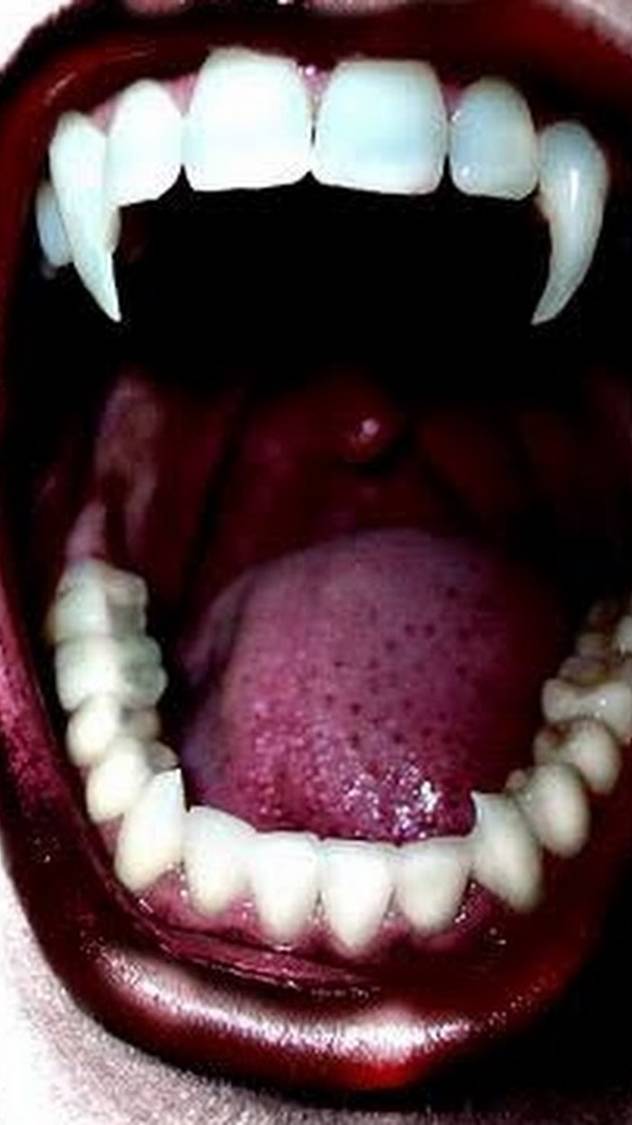 Купил SSD а комп не видит, решение смотреть онлайн