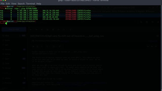 Using Netstat To Show Established TCP Connections смотреть онлайн