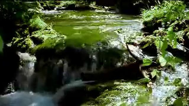Vista DreamScene 2 смотреть онлайн