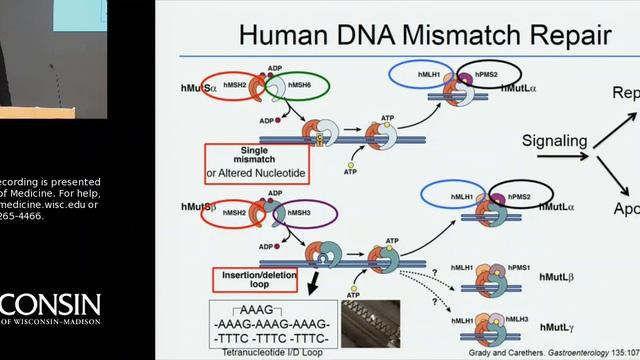 9/9/16: Colorectal Cancer: The Role of Inflammation and DNA Mismatch Repair for Patient Outcome смотреть онлайн