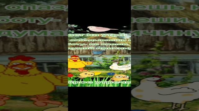 #Всем доброе утро🤩👍💯 смотреть онлайн