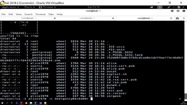 Hack the box (HTB) Walkthrough Ypuffy (Spanish - Español) смотреть онлайн