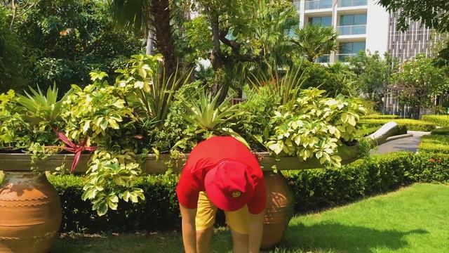 Head Shoulders | Песенка разминка для детей | Учим Английский смотреть онлайн